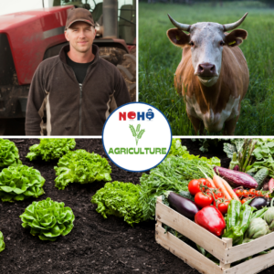 Nohô est la plateforme gratuite qui te permet de partager sur ton exploitation agricole facilement