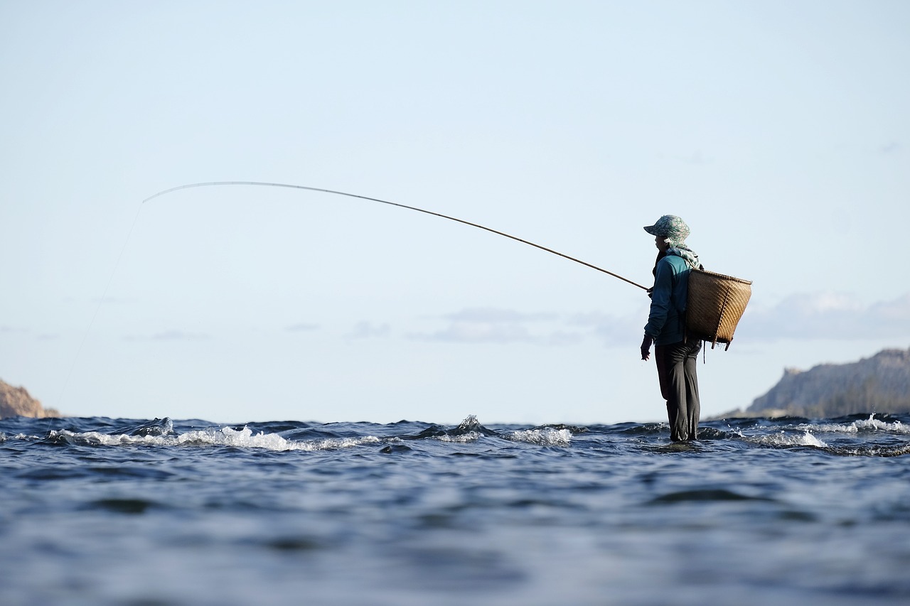 Comment pêcher la seiche ? Les Techniques et Astuces Nohô — free download